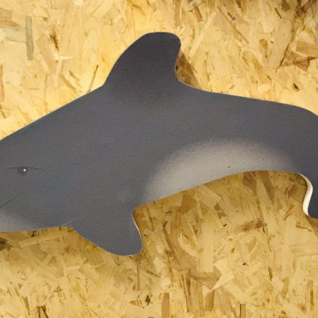 Loke™ 40mm sound dampening Dolphin
