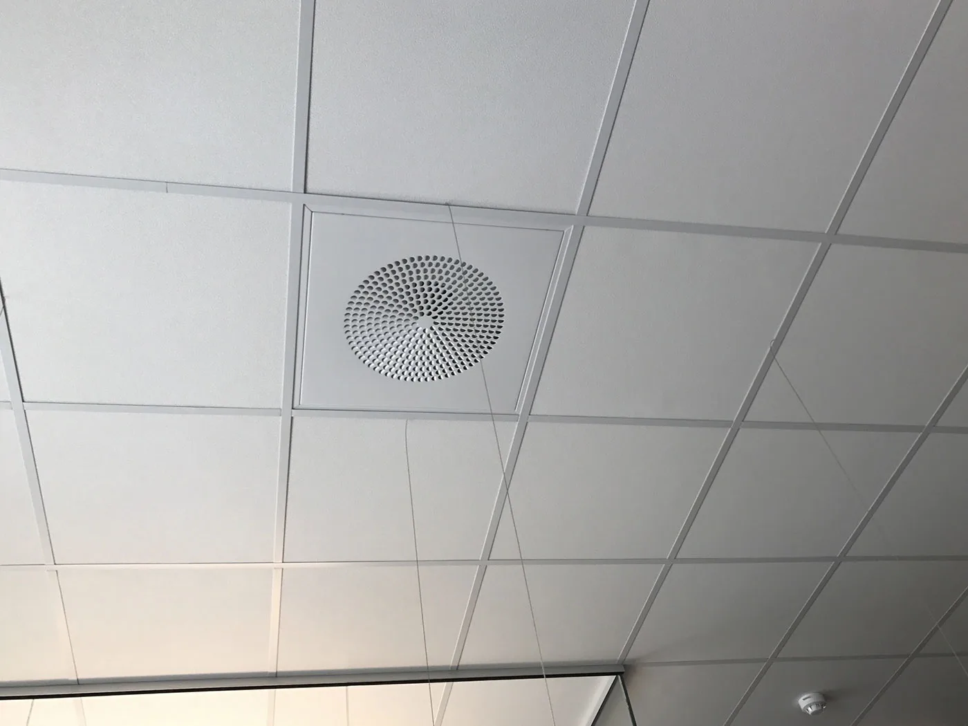 Loke™ Himlingsplate 15mm lyddempende - Bilde 6