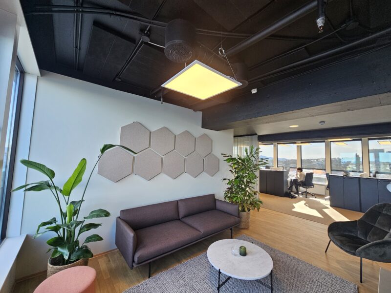 Frigg™ Hex 40 mm lyddempende plate - Bilde 6