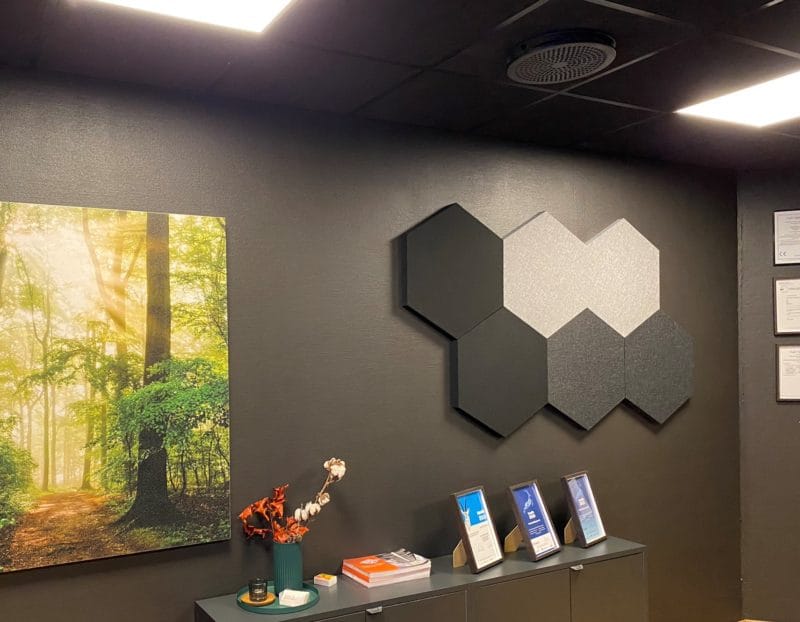 Frigg™ Hex 40 mm lyddempende plate - Bilde 9