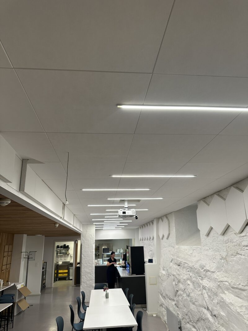 Frigg™ Hex 40 mm lyddempende plate - Image 6