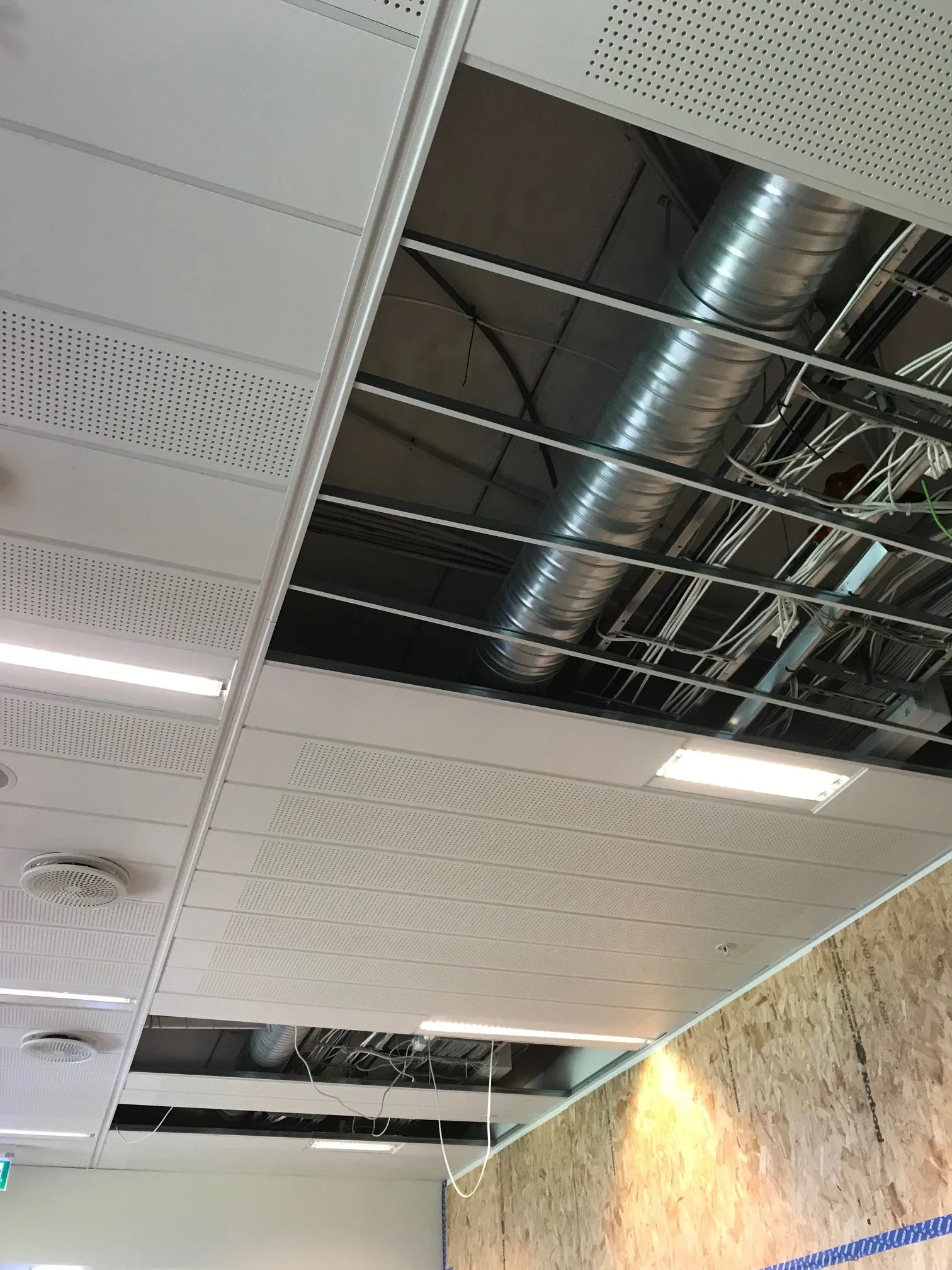 Loke™ 15mm Hygiene Himlingsplate lyddempende - Billede 3